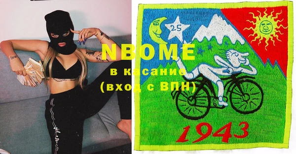 индика Абинск