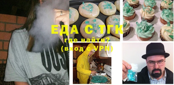 индика Абинск