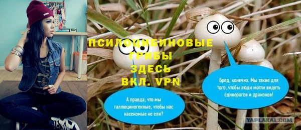 гашик Алексеевка