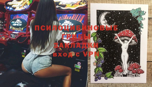 индика Абинск