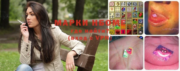 индика Абинск