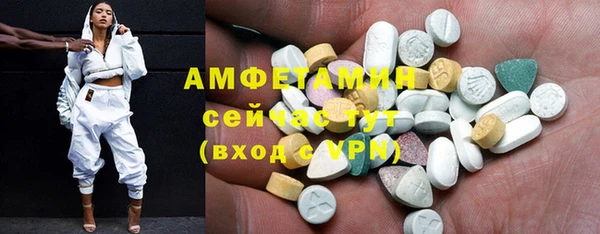 индика Абинск