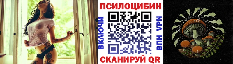 наркотики  Пудож  Псилоцибиновые грибы Magic Shrooms 